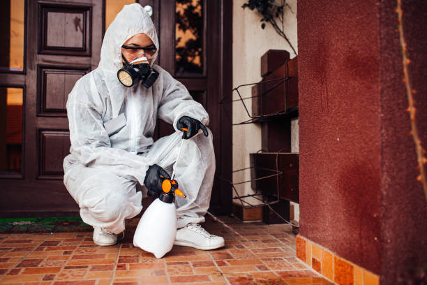 Attic and Crawl Space Rodent Treatment in Fort Denaud