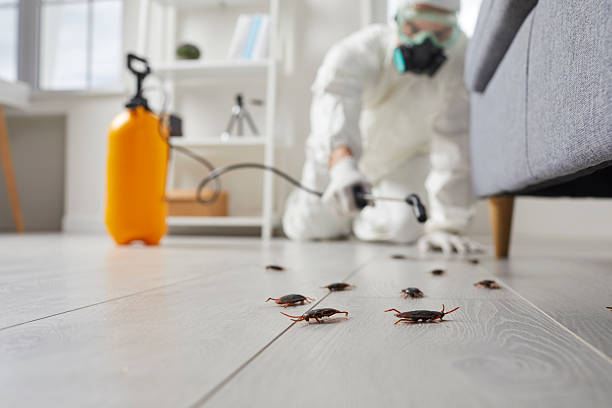 Commercial Rodent Management in Fort Denaud